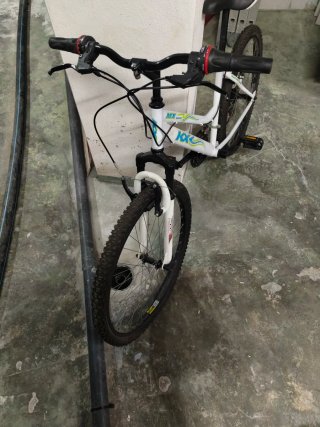 Bicicleta de montaña blanca