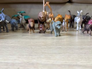Lote animales salvajes National Geographic