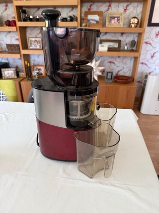Biochef Atlas Pro slow juicer