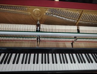 Yamaha B1 PE Negro Pulido – Excelente Estado