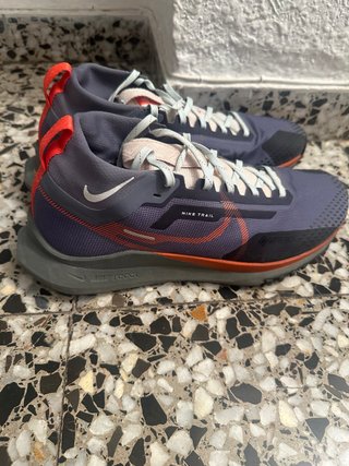 Zapatillas Nike Pegasus Trail Gore-Tex