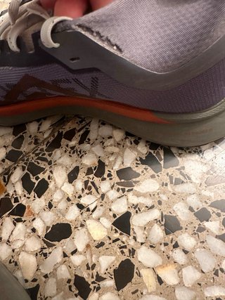 Zapatillas Nike Pegasus Trail Gore-Tex