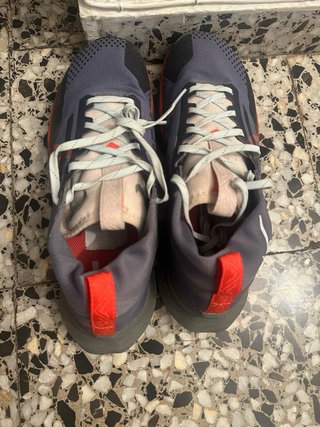Zapatillas Nike Pegasus Trail Gore-Tex
