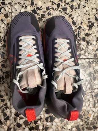 Zapatillas Nike Pegasus Trail Gore-Tex