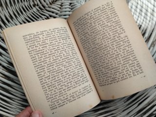 El Llibre del Te