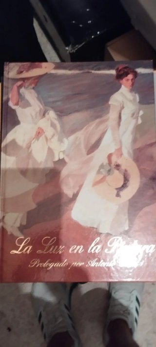 Libro pintura