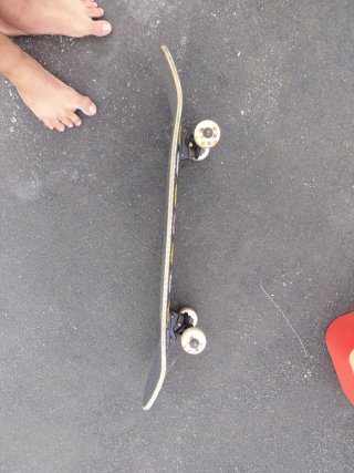 Skate Lizzie Armanto Birdhouse Flores