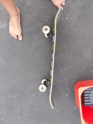 Skate Lizzie Armanto Birdhouse Flores
