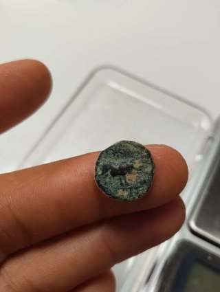 Moneda Ibera Castulo Jaen Antigua