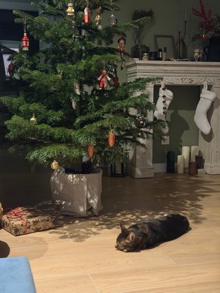 Marco chimenea madera blanco 100x30x110