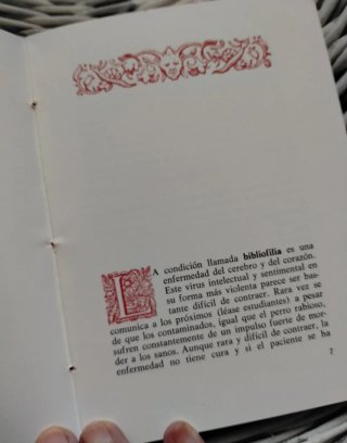 Ensayo "Elogio de la Bibliófila"