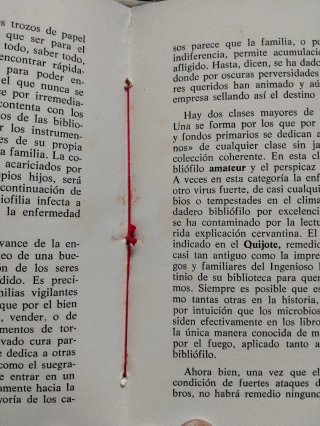 Ensayo "Elogio de la Bibliófila"