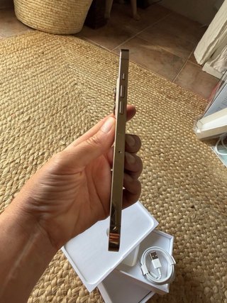 iPhone 12 Pro Max 128GB Oro/Plata