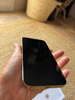 iPhone 12 Pro Max 128GB Oro/Plata