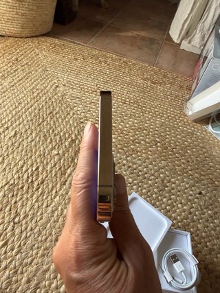 iPhone 12 Pro Max 128GB Oro/Plata
