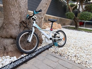 Bicicleta infantil 16 niño