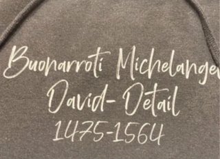 Sudadera gris con estampado
