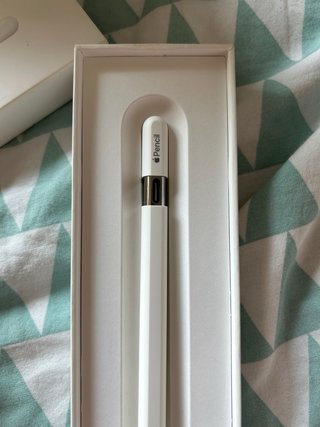 Apple Pencil Nuevo