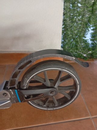 Patinete de paseo