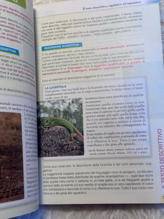 Autori e Lettori 1 - Antologia Fabbri Editori (Sol