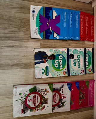 Libros 5 Primaria Colegio Ilarcuris