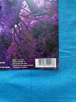 Heavy Stereo Smiler 7" Vinyl Purple