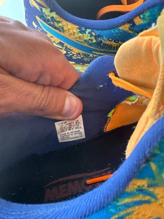 ASICS Noosa Tri 14 Talla 42 Deportivas