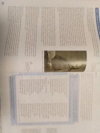 Trayecto Lengua y Literatura 1 BACH