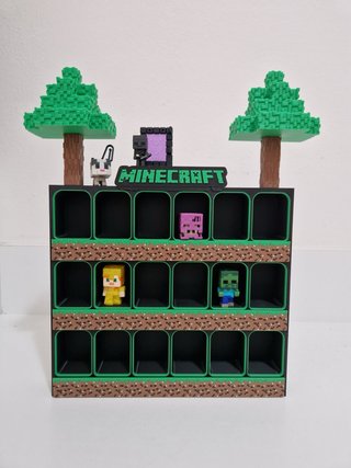 Expositor Minecraft roka