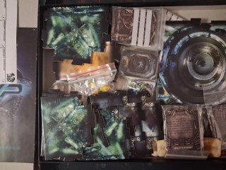 Alien vs Predator: The Hunt Begins + Queen Alien