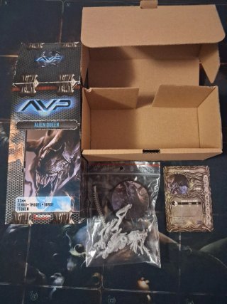 Alien vs Predator: The Hunt Begins + Queen Alien