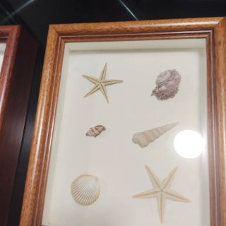 2 Cuadros Decorativos Marinos