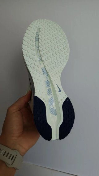 Nike Pegasus Premium