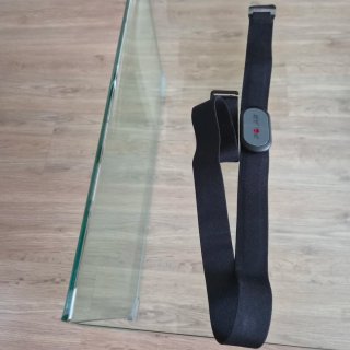 Sensor Polar H9 - Frecuencia Cardíaca