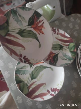 Servizio piatti tognana da tre
