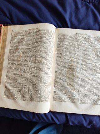 Historia de Francia