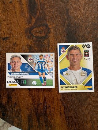 Panini RC Deportivo La Coruña Cromos