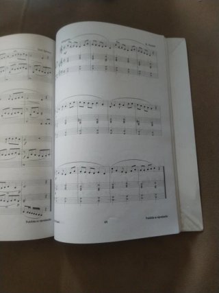 Lenguaje Musical Melódico 1 con CD