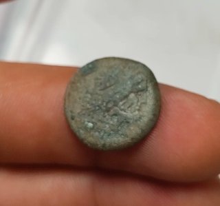 Moneda Griega Ptolemaica Ptolomeo III Egipto