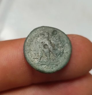 Moneda Griega Ptolemaica Ptolomeo III Egipto