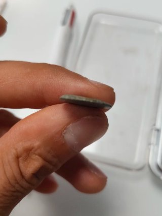Moneda Griega Ptolemaica Ptolomeo III Egipto