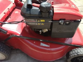 Cortacésped Sterwins Rojo