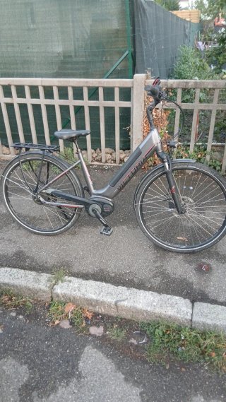Bicicleta Eléctrica Victoria Gris