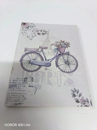 2 Cuadros Decorativos Vintage Bicicleta Flores