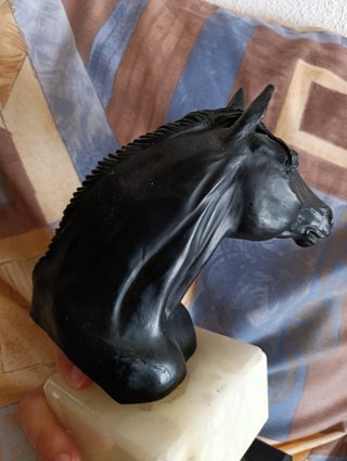 Trofeo Busto de caballo negro