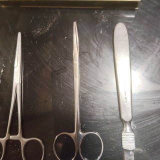 Pinzas y tijeras médicas