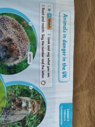 All about Us Now 3 Class Book (Spain)