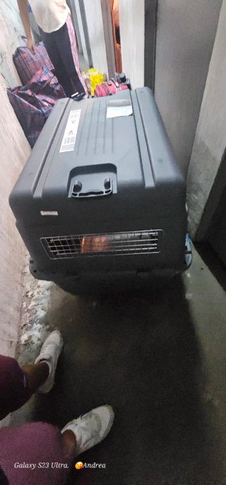 Transportín Perro Grande Gris