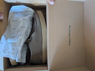 Pompeii Albatros Forest Hydro Talla 45