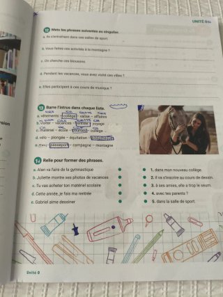 Libro francés actividades